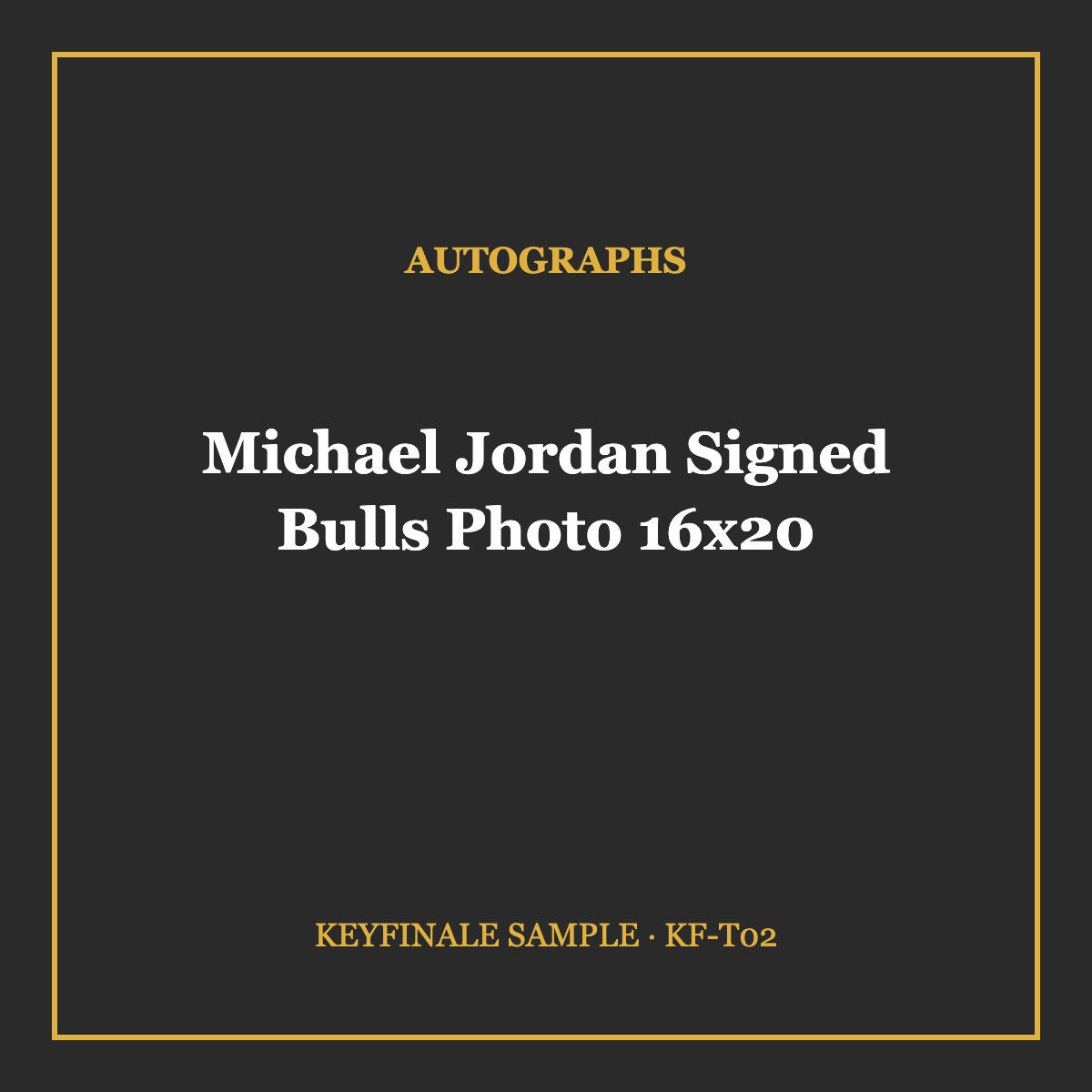 Michael Jordan Signed Bulls Photo 16x20