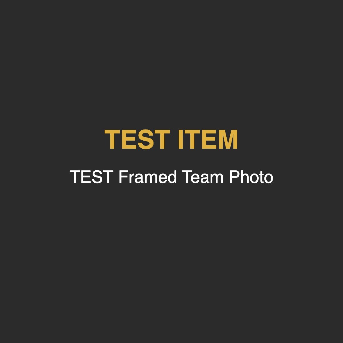 TEST Framed Team Photo
