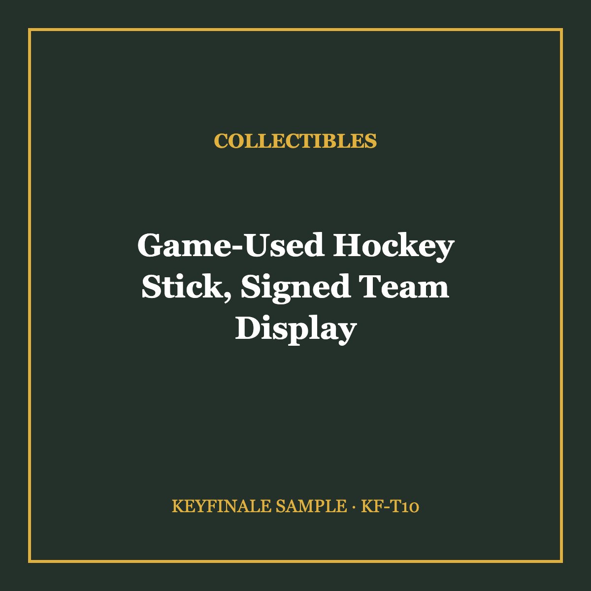 Game-Used Hockey Stick, Signed Team Display
